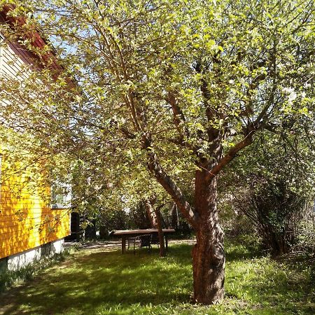 Renovated Semi- Basement 2 Bedrooms Furnished Apartment - Close To Everything In Moss Extérieur photo